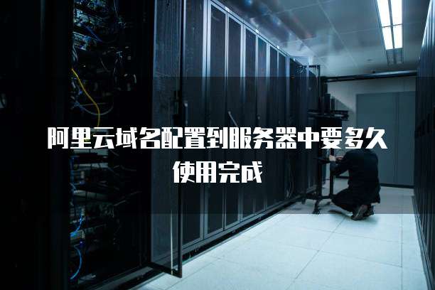阿里云域名配置到服务器中要多久使用完成