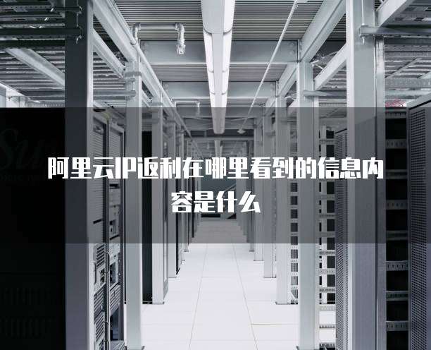 阿里云IP返利在哪里看到的信息内容是什么