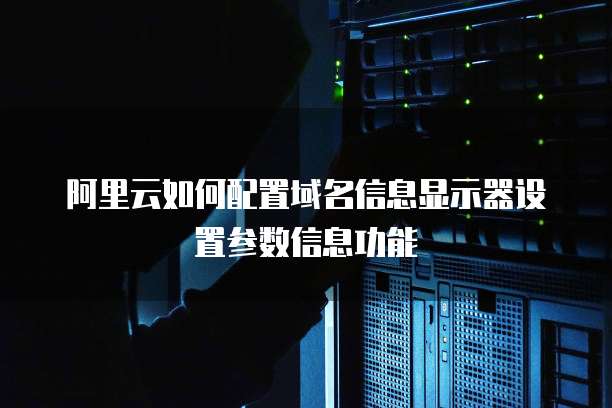 阿里云如何配置域名信息显示器设置参数信息功能