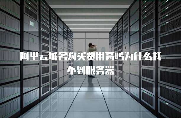 阿里云域名购买费用高吗为什么找不到服务器