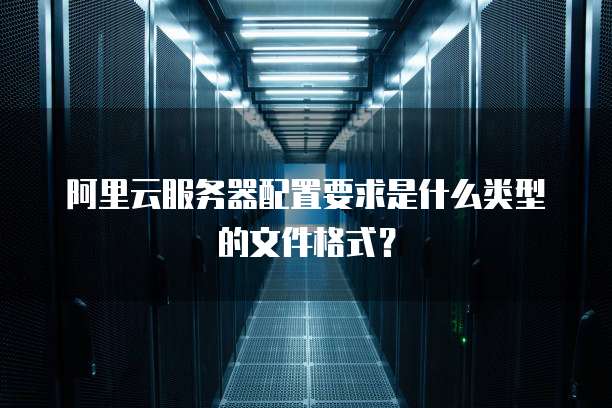 阿里云服务器配置要求是什么类型的文件格式?