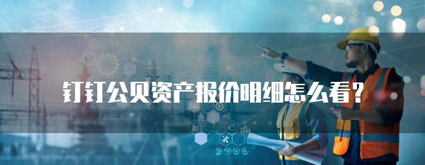 钉钉公贝资产报价明细怎么看?