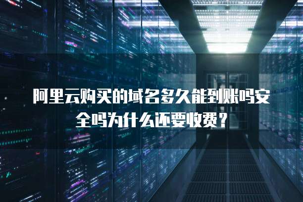 阿里云购买的域名多久能到账吗安全吗为什么还要收费?