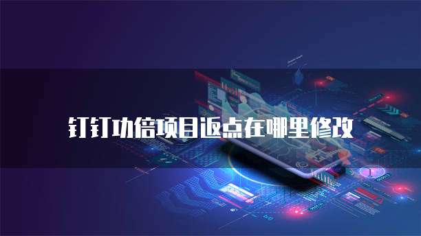 钉钉功倍项目返点在哪里修改