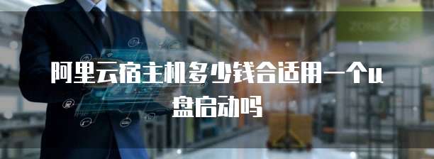 阿里云宿主机多少钱合适用一个u盘启动吗