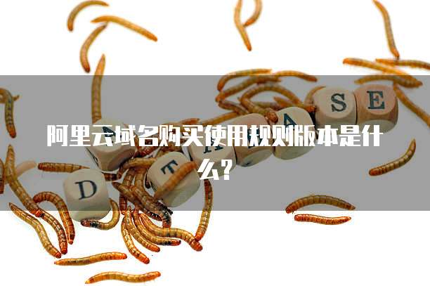 阿里云域名购买使用规则版本是什么?