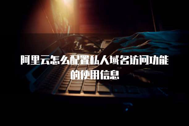 阿里云怎么配置私人域名访问功能的使用信息