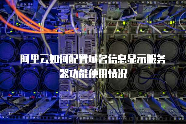 阿里云如何配置域名信息显示服务器功能使用情况