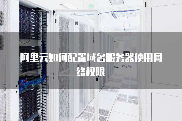 阿里云如何配置域名服务器使用网络权限
