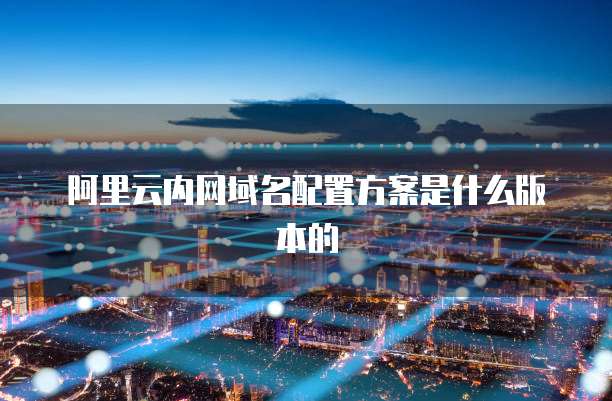 阿里云内网域名配置方案是什么版本的