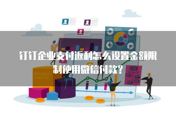 钉钉企业支付返利怎么设置金额限制使用微信付款？