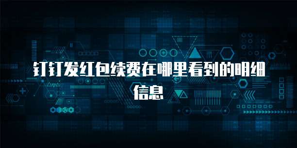 钉钉发红包续费在哪里看到的明细信息