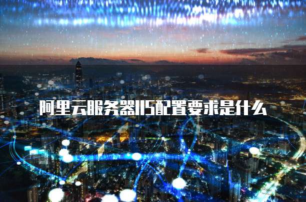 阿里云服务器IIS配置要求是什么