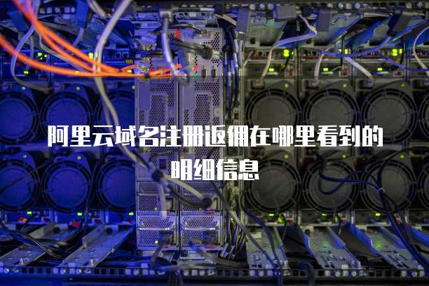 阿里云域名注册返佣在哪里看到的明细信息