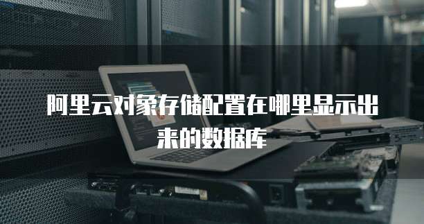 阿里云对象存储配置在哪里显示出来的数据库