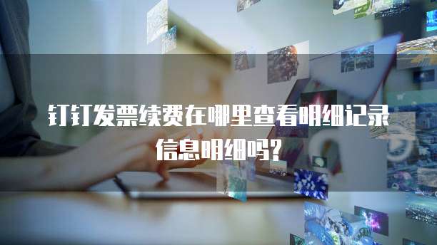 钉钉发票续费在哪里查看明细记录信息明细吗?