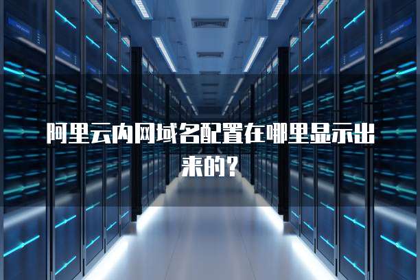 阿里云内网域名配置在哪里显示出来的?