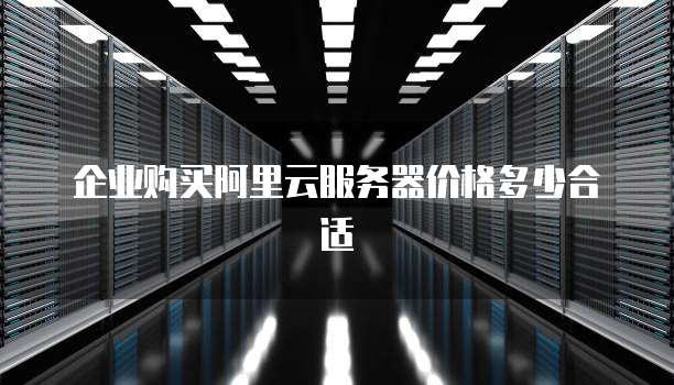 企业购买阿里云服务器价格多少合适