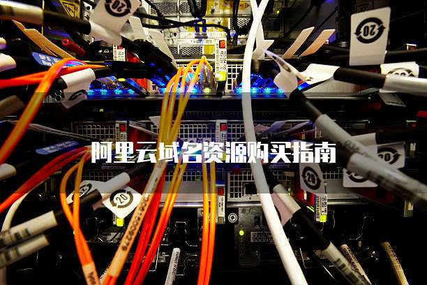 阿里云域名资源购买指南