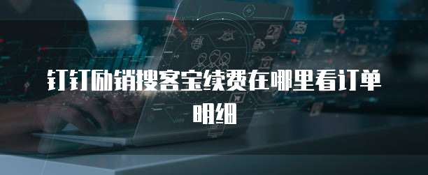 钉钉励销搜客宝续费在哪里看订单明细