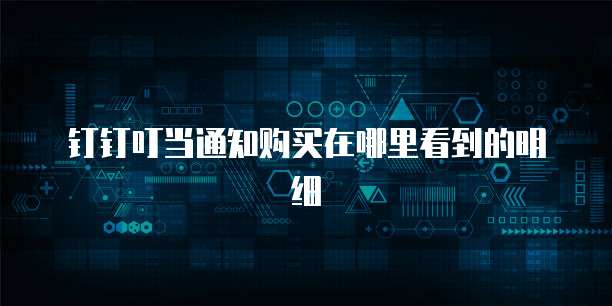钉钉叮当通知购买在哪里看到的明细