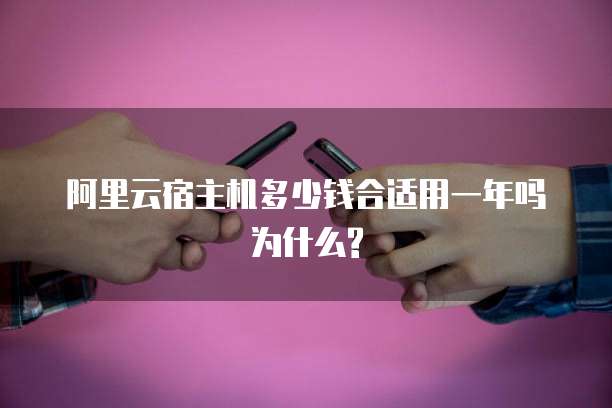 阿里云宿主机多少钱合适用一年吗为什么?