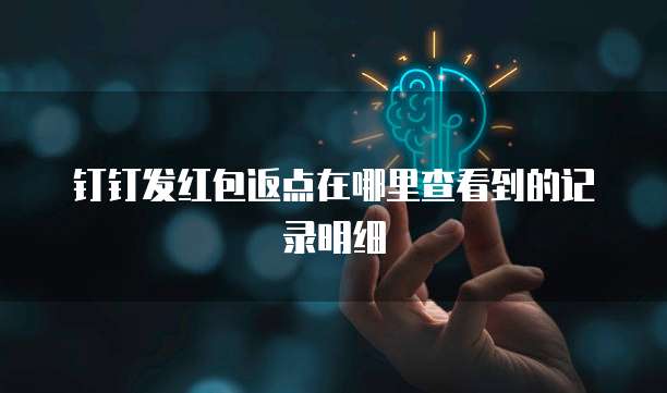 钉钉发红包返点在哪里查看到的记录明细