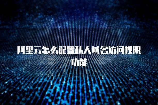 阿里云怎么配置私人域名访问权限功能