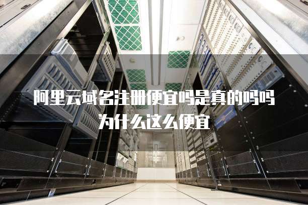 阿里云域名注册便宜吗是真的吗吗为什么这么便宜