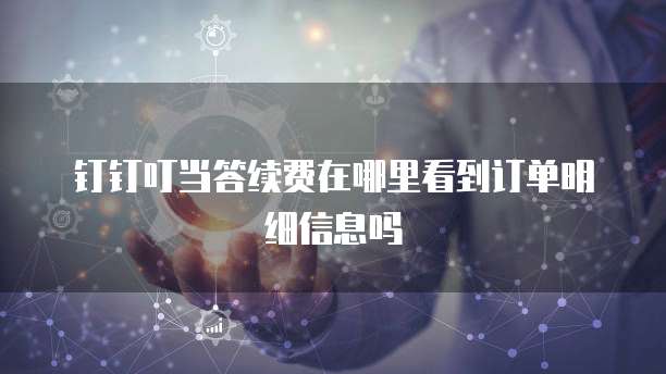 钉钉叮当答续费在哪里看到订单明细信息吗
