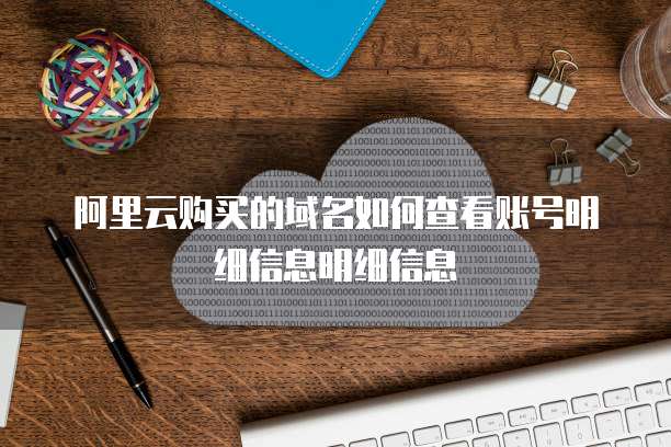 阿里云购买的域名如何查看账号明细信息明细信息