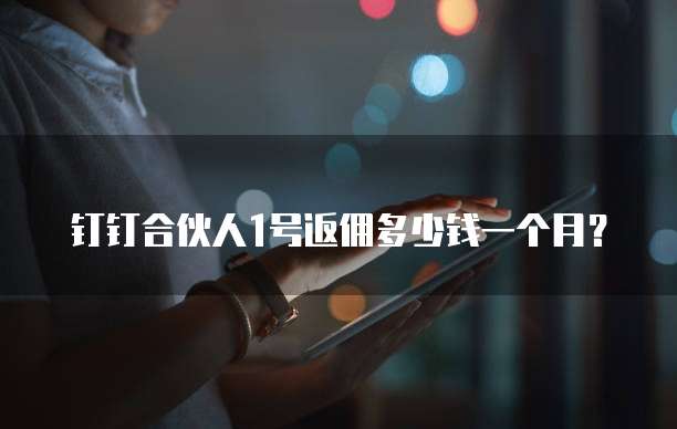 钉钉合伙人1号返佣多少钱一个月?