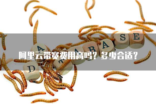 阿里云带宽费用高吗?多少合适?