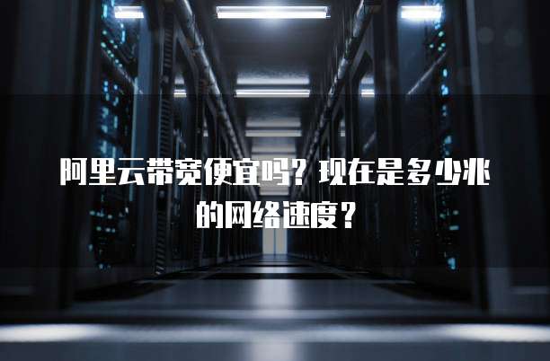 阿里云带宽便宜吗?现在是多少兆的网络速度?