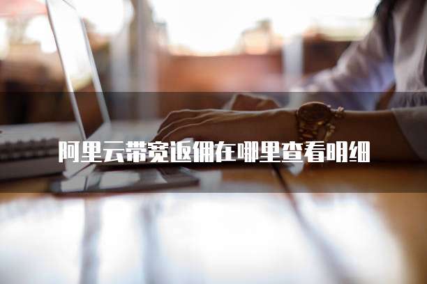 阿里云带宽返佣在哪里查看明细
