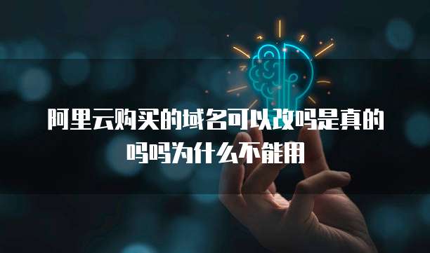 阿里云购买的域名可以改吗是真的吗吗为什么不能用