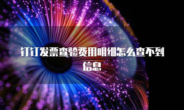 钉钉发票查验费用明细怎么查不到信息