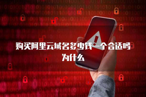 购买阿里云域名多少钱一个合适吗为什么
