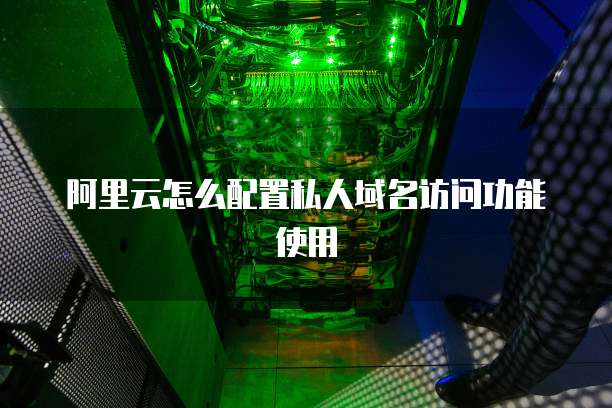 阿里云怎么配置私人域名访问功能使用