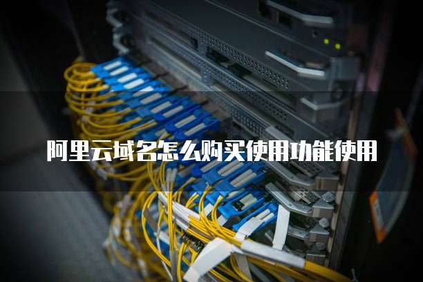 阿里云域名怎么购买使用功能使用