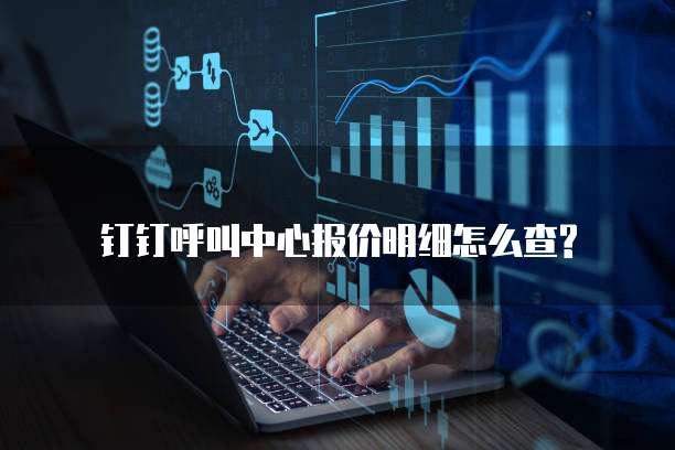 钉钉呼叫中心报价明细怎么查?