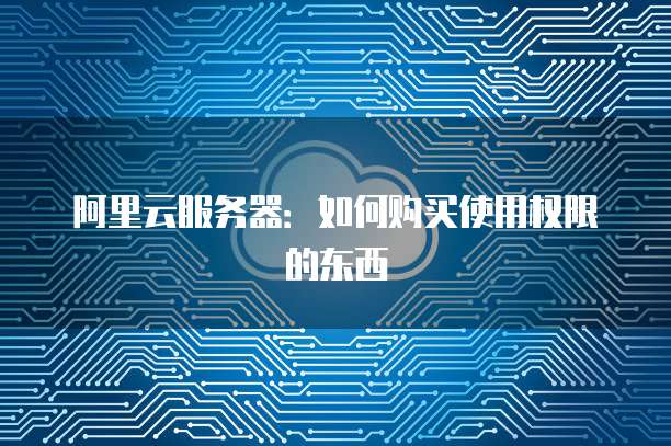 阿里云服务器:如何购买使用权限的东西