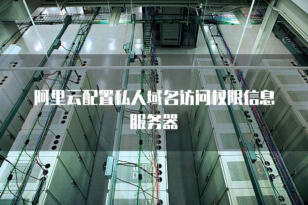 阿里云配置私人域名访问权限信息服务器