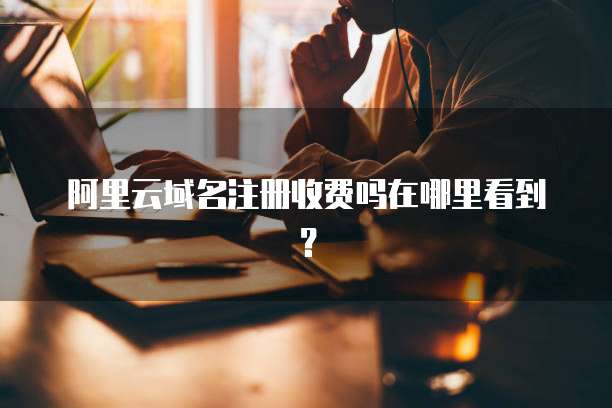 阿里云域名注册收费吗在哪里看到?