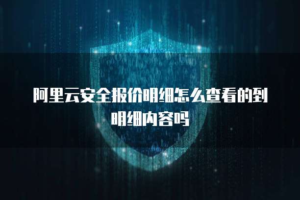 阿里云安全报价明细怎么查看的到明细内容吗
