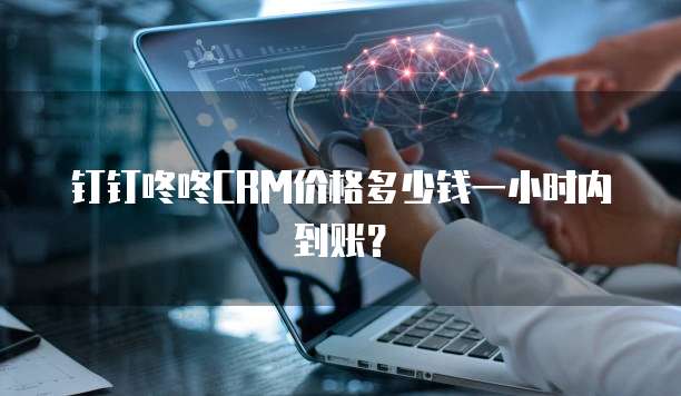 钉钉咚咚CRM价格多少钱一小时内到账?