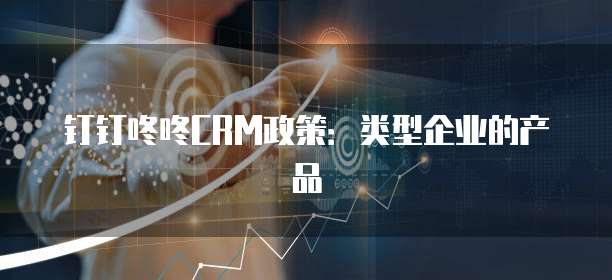 钉钉咚咚CRM政策:类型企业的产品