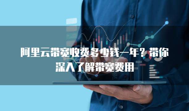 阿里云带宽收费多少钱一年?带你深入了解带宽费用
