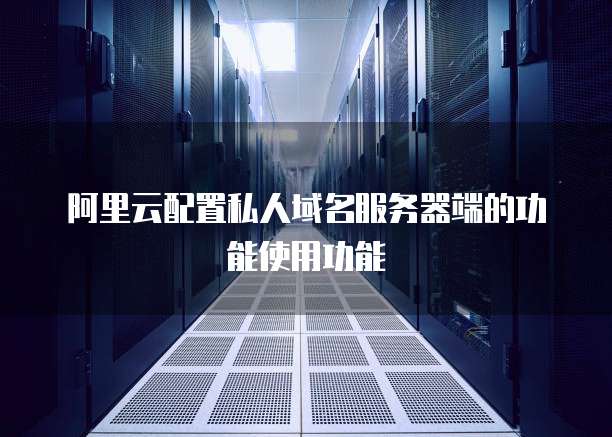 阿里云配置私人域名服务器端的功能使用功能