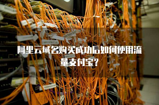 阿里云域名购买成功后如何使用流量支付宝？